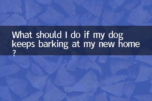 O que devo fazer se meu cachorro continuar latindo na minha nova casa?