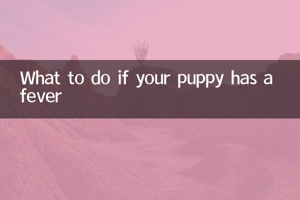 ماذا تفعل إذا كان جروك يعاني من الحمى