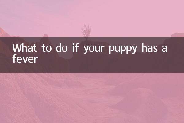 幼犬發燒怎麼辦