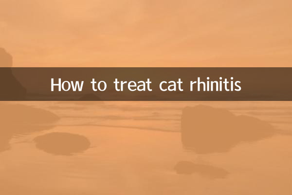 고양이 비염 치료 방법