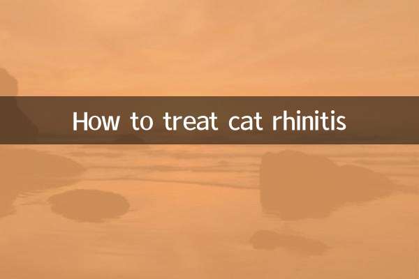 Как лечить кошачий ринит