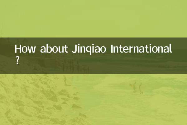 진차오 인터내셔널(Jinqiao International)은 어떻습니까?