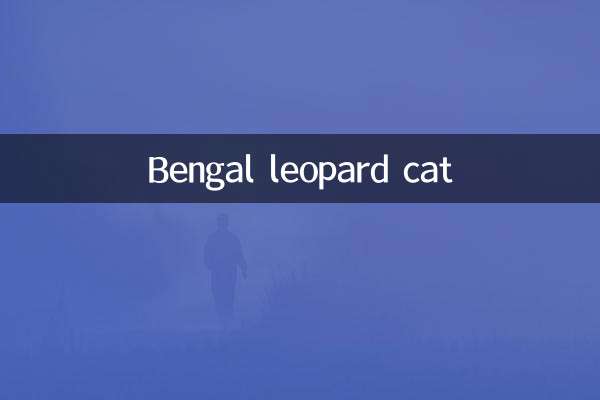 ベンガルヒョウ猫