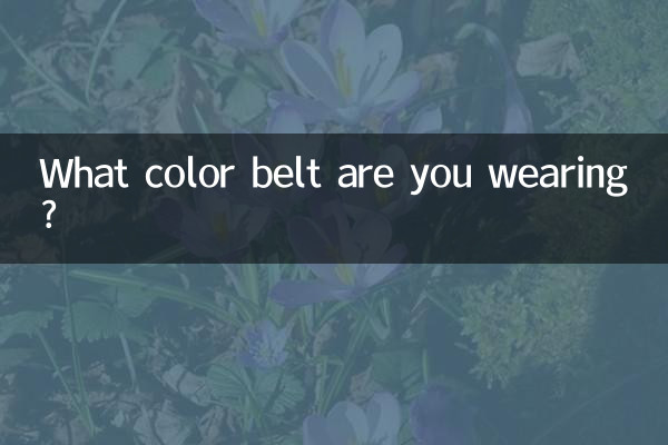What color belt are you wearing?