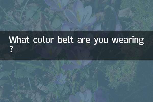 What color belt are you wearing?