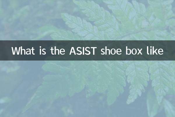 ما هو صندوق الأحذية Asist مثل