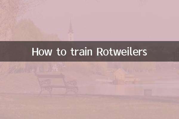 Wie man Rotweiler trainiert