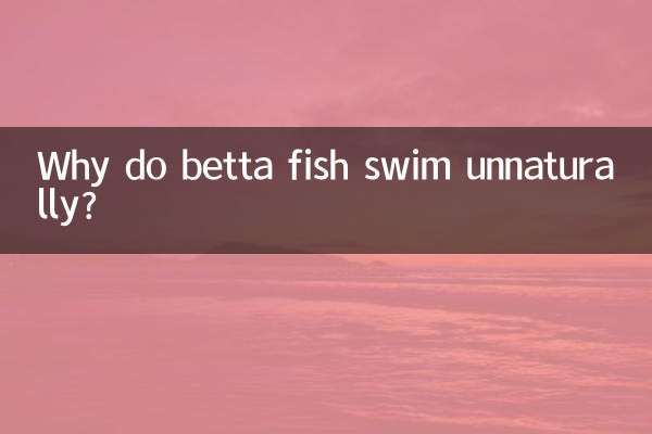 Por que os peixes betta nadam de forma não natural?