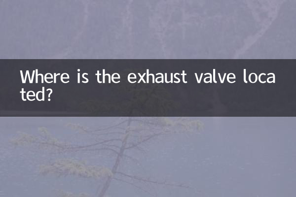 排気バルブはどこにありますか?