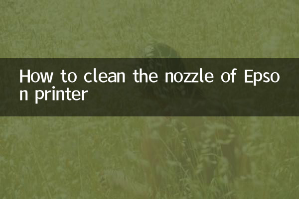 How to clean the nozzle of Epson printer