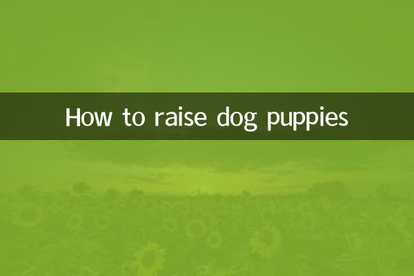 Como criar filhotes de cachorro