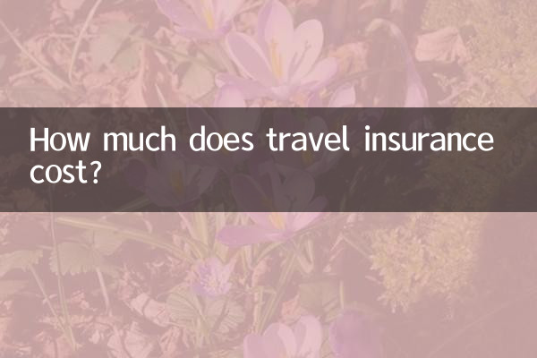 여행 보험 비용은 얼마입니까?