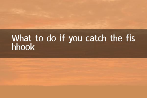 মাছের হুক ধরলে কি করবেন