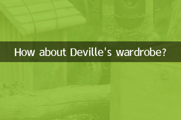 デビルのワードローブはどうでしょうか？