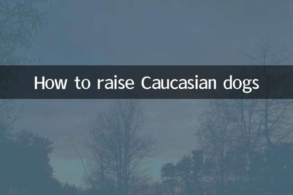 کاکیشین کتوں کو کیسے پالیں