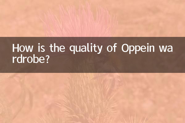 Oppein 옷장의 품질은 어떻습니까?