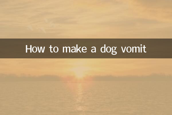 چگونه سگ را استفراغ کنیم