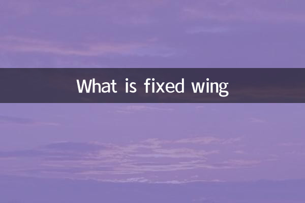 فکسڈ ونگ کیا ہے؟