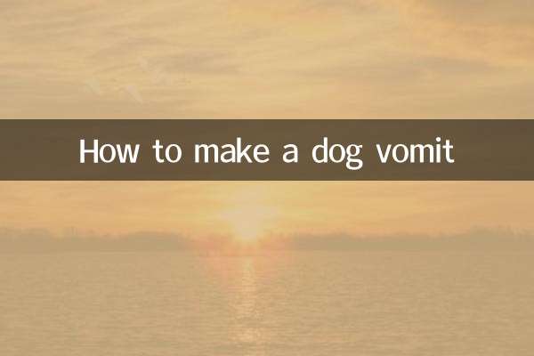 چگونه سگ را استفراغ کنیم