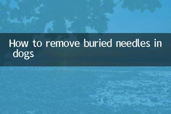 개에 묻힌 바늘을 제거하는 방법
