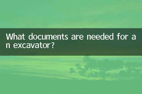 একটি খননকারী জন্য কি নথি প্রয়োজন?