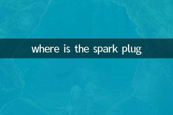 점화 플러그는 어디에 있나요?