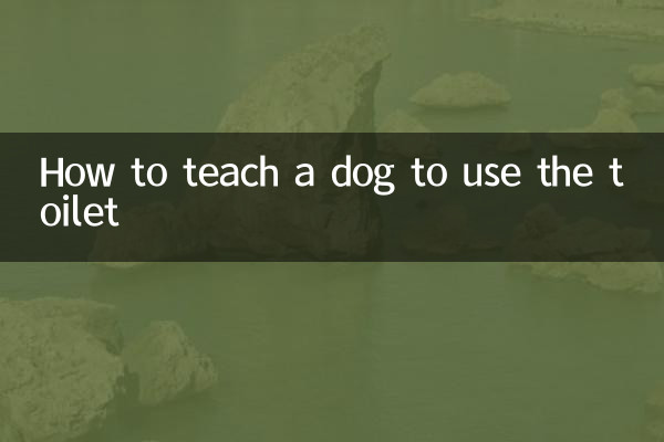 Come insegnare a un cane a usare la toilette