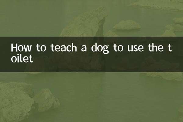 نحوه آموزش استفاده از توالت به سگ