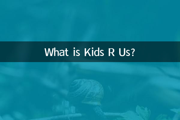What is Kids R Us?