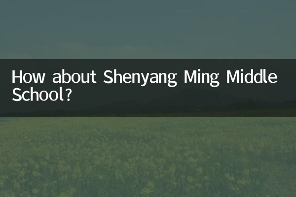 Как насчет средней школы Шэньян Мин?