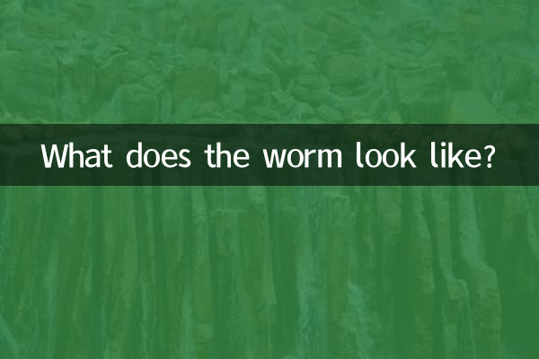 繞蟲是什麼樣子了