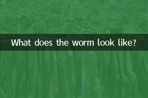 Wie sieht der Wurm aus?