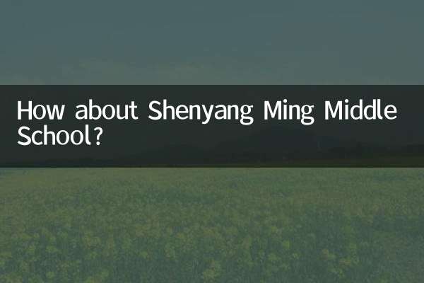 Wie wäre es mit der Shenyang Ming Middle School?