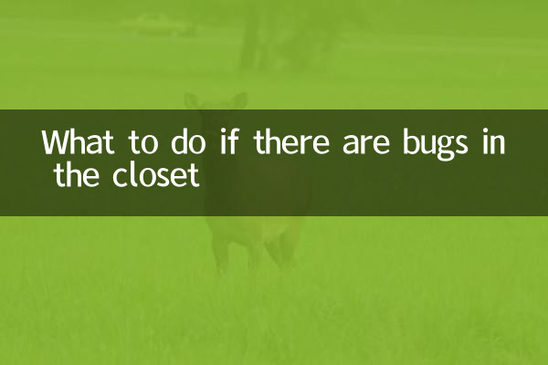 ماذا تفعل إذا كان هناك أخطاء في الخزانة