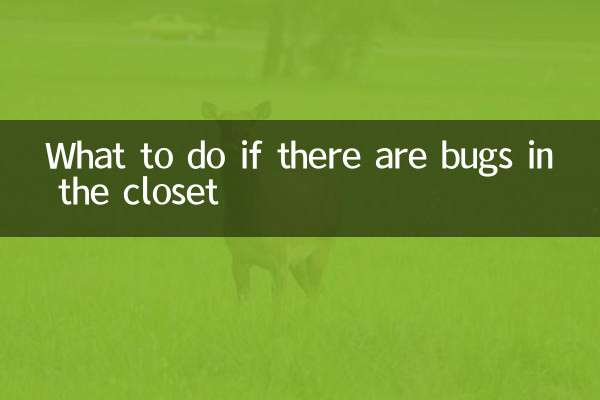 What to do if there are bugs in the closet