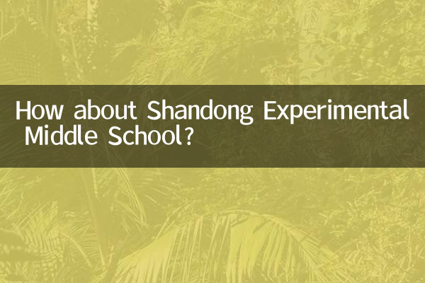 How about Shandong Experimental Middle School?