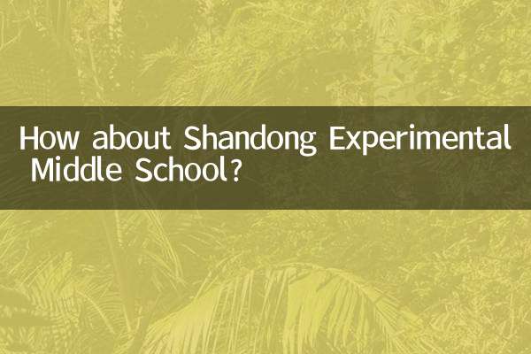 How about Shandong Experimental Middle School?