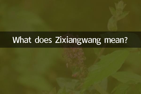 What does Zixiangwang mean?