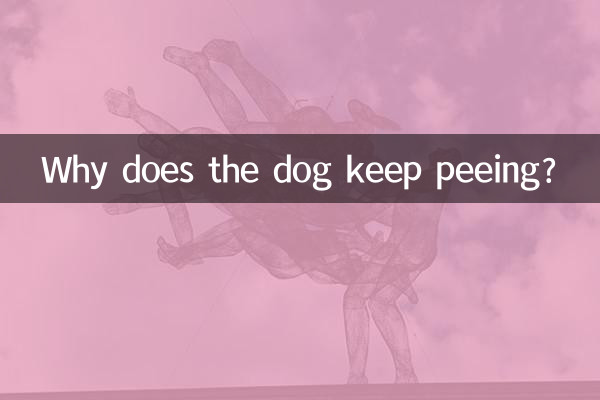 Why does the dog keep peeing?