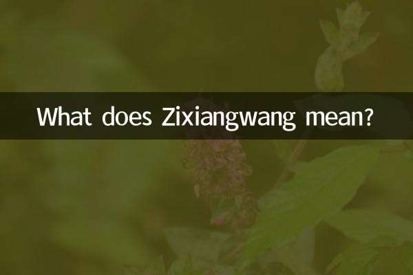What does Zixiangwang mean?