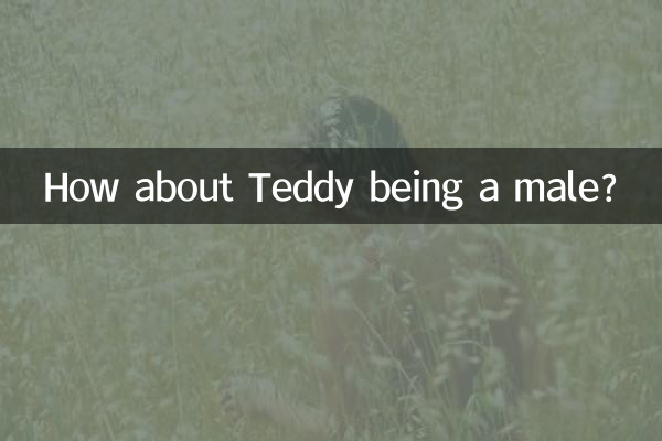 How about Teddy being a male?