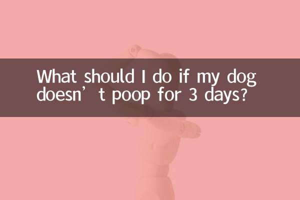 اگر میرا کتا 3 دن تک نہیں کھڑا کرتا ہے تو مجھے کیا کرنا چاہئے؟