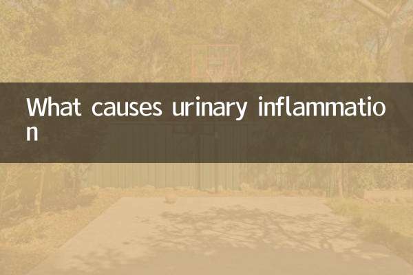 Quelles sont les causes de l'inflammation urinaire