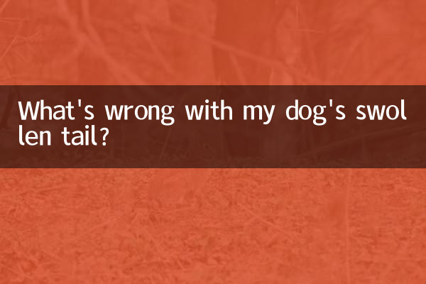 ¿Qué le pasa a la cola hinchada de mi perro?