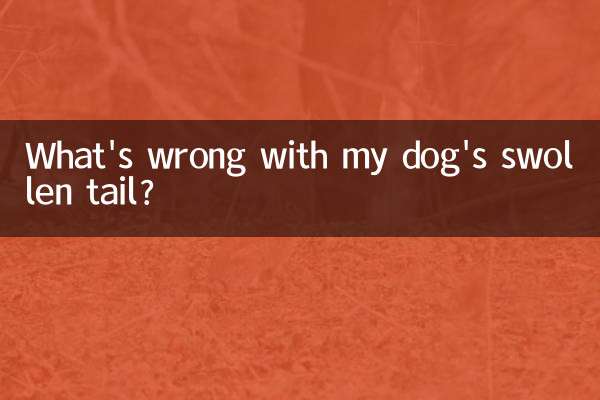 ¿Qué le pasa a la cola hinchada de mi perro?