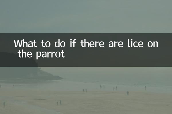 کیا کریں اگر طوطے پر جوؤں ہوں