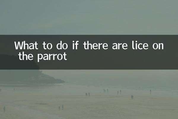 کیا کریں اگر طوطے پر جوؤں ہوں