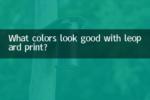 Que cores ficam bem com estampa de leopardo?