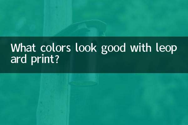 Que cores ficam bem com estampa de leopardo?