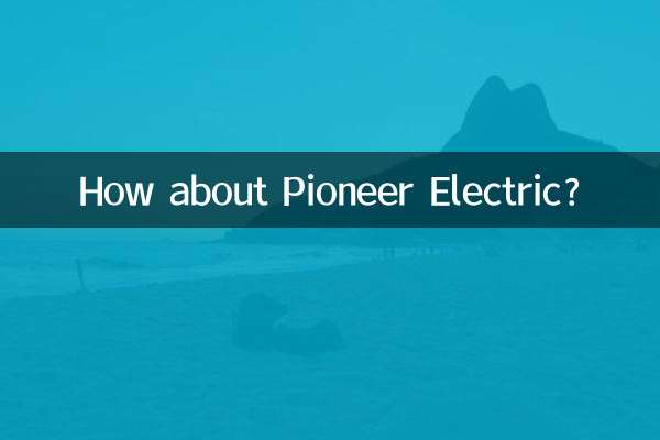 파이오니어 일렉트릭은 어떻습니까?